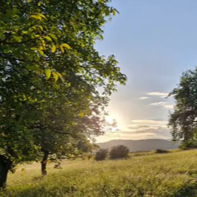 Yoga, Meditation und Basenfasten in der Rhön