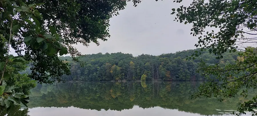 Stressmanagement mit Hatha Yoga & Ausbildung in Pranic Healing® (Basic)