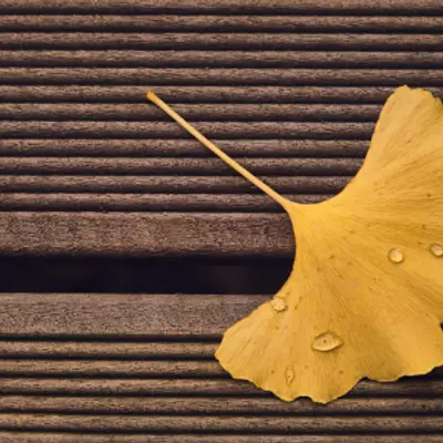 Qigong Tian Ai  mit Bewegung zur Work-Life-Balance