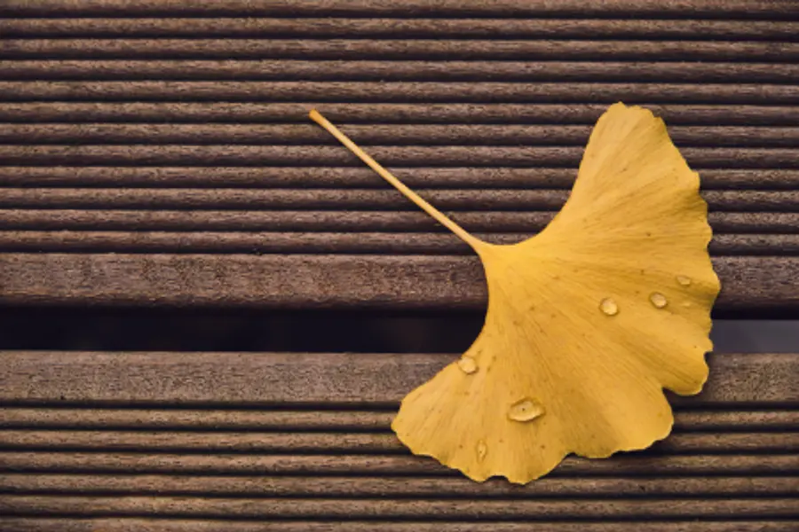 Qigong Tian Ai  mit Bewegung zur Work-Life-Balance