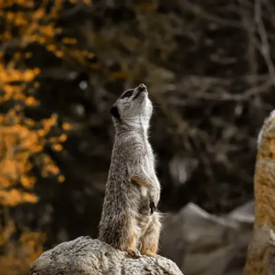 Was denkst du dir? Die Kraft der Gedanken The Work of Byron Katie für Ihren Arbeitsalltag