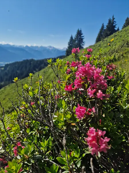 Wandern & Yoga in Oberstdorf (Allgäu)