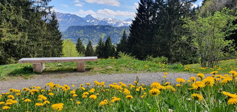 Weg zum Sonderdorfer Kreuz