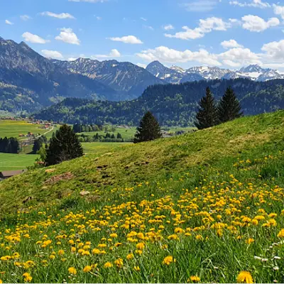 Wandern & Yoga in Oberstdorf (Allgäu)