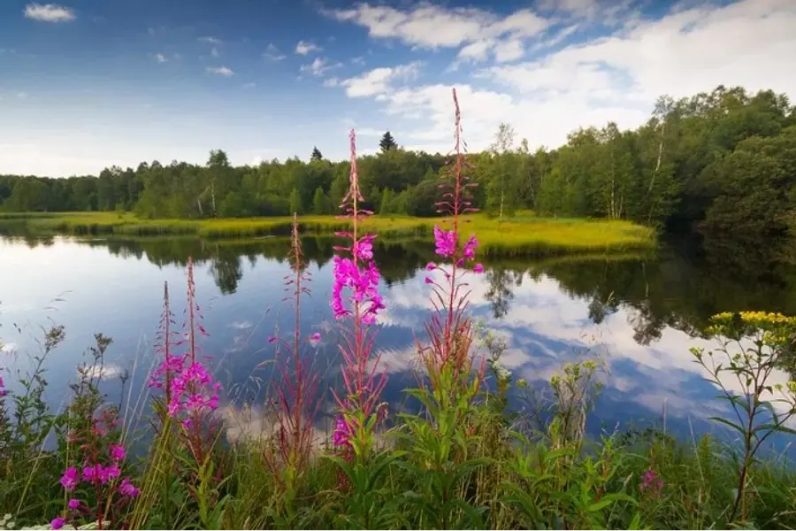 Kommunikation, Bewegung & Achtsamkeit im Wellnesshotel (Rhön)