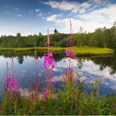 Kommunikation, Bewegung & Achtsamkeit im Wellnesshotel (Rhön)