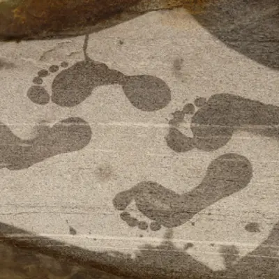 Alexander-Technik  ungünstigen Denkgewohnheiten zu Leibe rücken am Meer