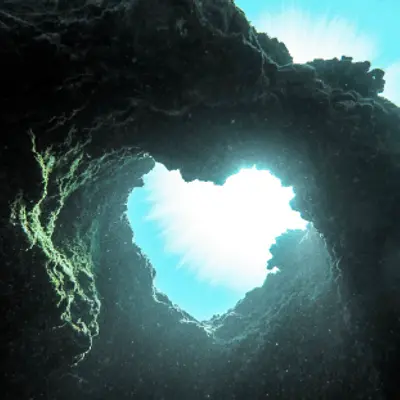 Die eigene Gangart finden mit dem Pferd als Trainer Ein personzentrierter Bildungsurlaub im Burgund