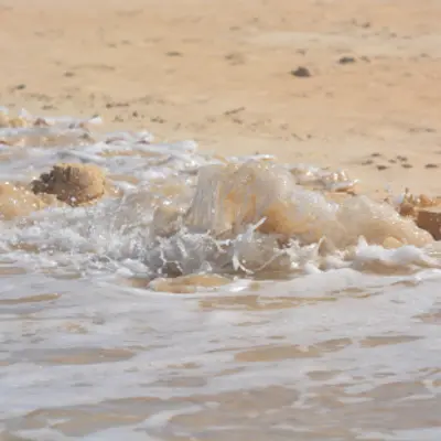 Xian Gong Qi Gong  für ein langes, gesundes Leben