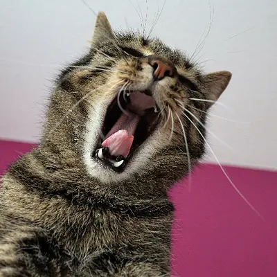 Schlafschule – gut schlafen ist erlernbar