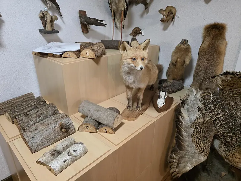 Vorbereitungskurs zur Jägerprüfung