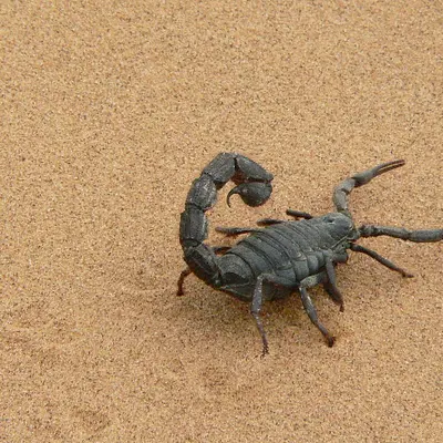 Umgang mit schwierigen Zeitgenossen