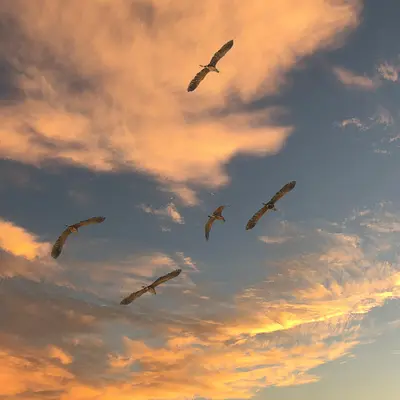 Systemische Handlungskompetenz  bei psychischen Störungen