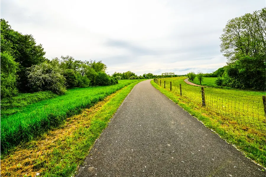 Innehalten - Spüren - Spaß haben - Aufblühen : Dein Bildungsurlaub mit Resilienz für Körper, Geist und Seele