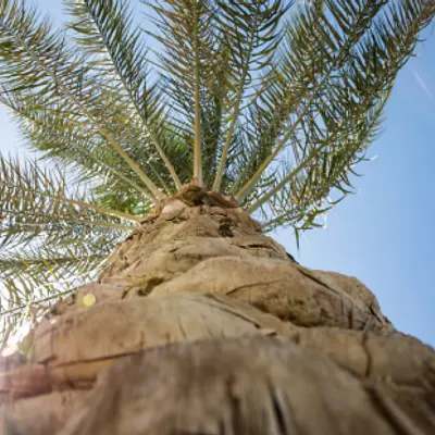 Tanzen am Strand – Energie tanken beim Tanzen Methoden der Selbstreflexion