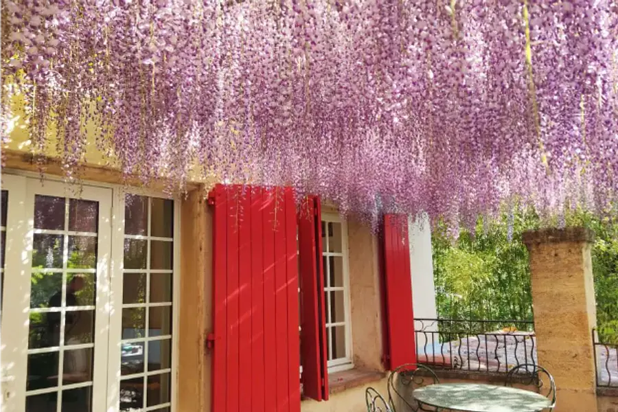 Bildungsurlaub Französisch in Aix en Provence (alle Sprachlevel, 5 Tage) – GLS Sprachenzentrum