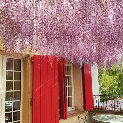 Bildungsurlaub Französisch in Aix en Provence (alle Sprachlevel, 5 Tage) – GLS Sprachenzentrum