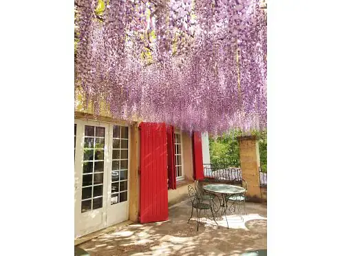 veranstaltungsort03_526-497_1774602919