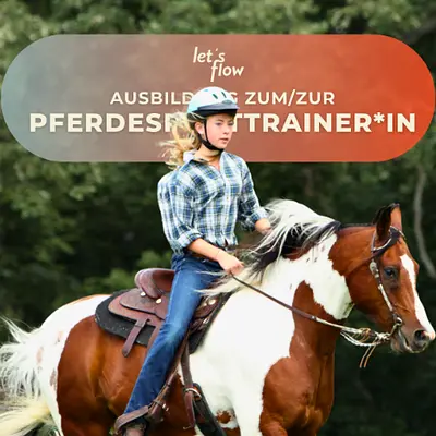 Ausbildung zum/zur Pferdesporttrainer*in auf Wangerooge