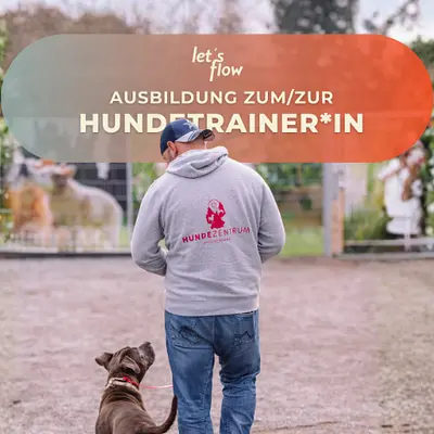 Ausbildung zum/zur Hundetrainer*in  in Hanau