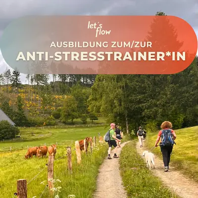 Wandern und Antistresstrainer*in werden in Bad Berleburg