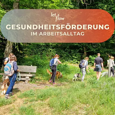 Wandern und Ressourcen bewusst nutzen in Bad Berleburg