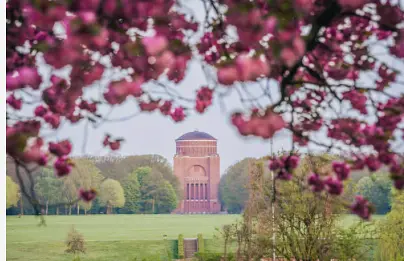 Yoga, Entfalte deine Innere und äußere Stärke durch Yoga LAST MINUTE Stadtpark Hamburg 