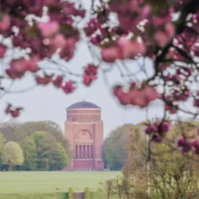 Yoga, Entfalte deine Innere und äußere Stärke durch Yoga LAST MINUTE Stadtpark Hamburg 