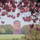 Yoga, Entfalte deine Innere und äußere Stärke durch Yoga LAST MINUTE Stadtpark Hamburg 