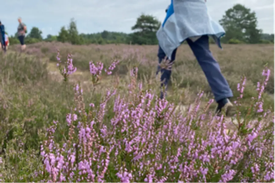 Sommervibes in der Heide - Fasten und Stress reduzieren 