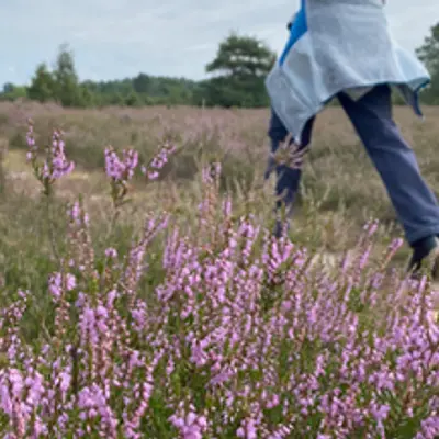 Sommervibes in der Heide - Fasten und Stress reduzieren 