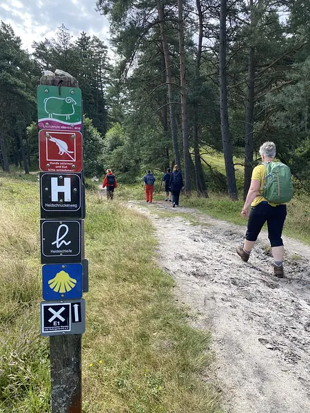Sommervibes in der Heide - Fasten und Stress reduzieren 