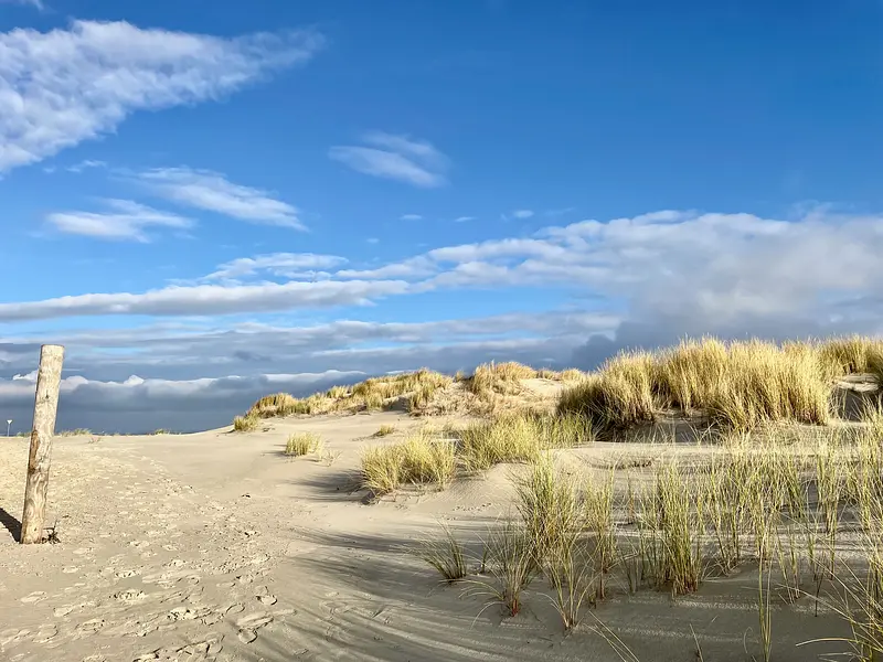 Achtsame Selbstregulation durch systemisches Coaching, Yoga und Meditation – Strategien zur Stressbewältigung im Alltag