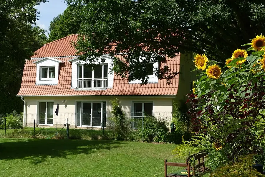 Resilienz und Stressreduktion im Grünen – Yoga & Waldbaden für Beruf und Alltag