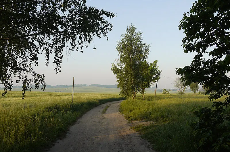 landschaft_16