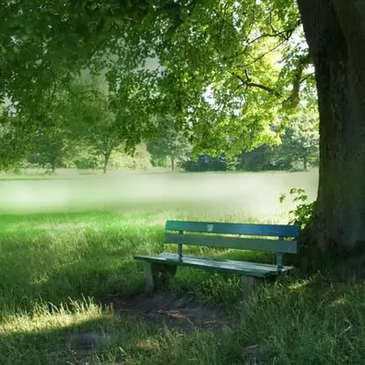 Vipassana-Meditations-Schweigekurs – Einsteiger geeignet