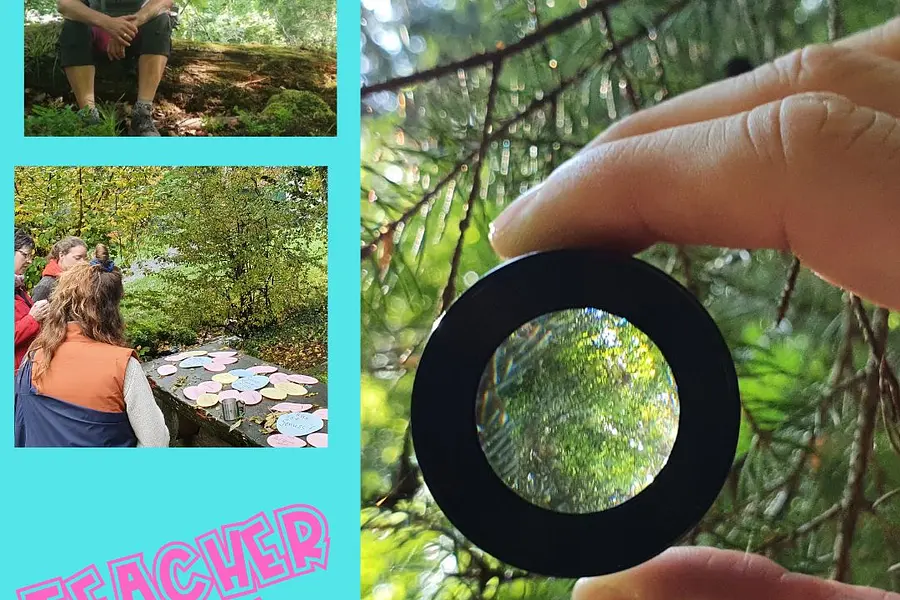 Kursleiter*in Shinrin Yoku – Waldbaden; Entspannungspädagogik in der Natur (Gruppen und Teams) 