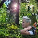 Waldbaden-Shinrin Yoku, der Wald als Therapeut! (Hessische Schweiz)