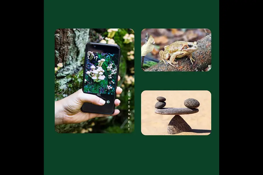 Seelenschmeichler – Durch achtsame Fotografie zur inneren Balance! Mit kreativem Stressmanangement den wachsenden Anforderungen der Berufswelt standhalten