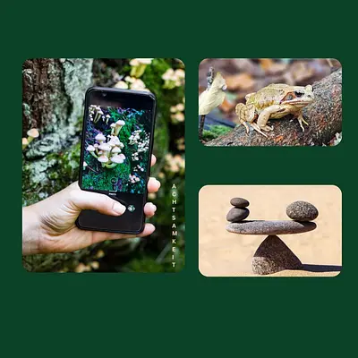 Seelenschmeichler – Durch achtsame Fotografie zur inneren Balance! Mit kreativem Stressmanangement den wachsenden Anforderungen der Berufswelt standhalten