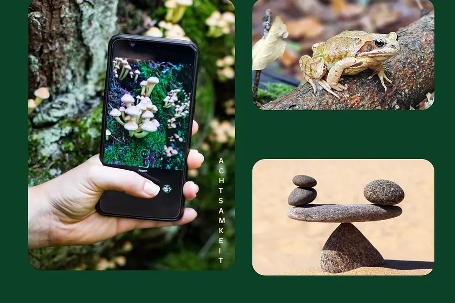 Seelenschmeichler – Durch achtsame Fotografie zur inneren Balance! Mit kreativem Stressmanangement den wachsenden Anforderungen der Berufswelt standhalten