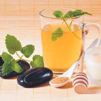 Gesünder durch vitalstoffreiche Ernährung und aktive Stressbewältigung! Gesünder durch vitalstoffreiche Ernährung und aktive Stressbewältigung!