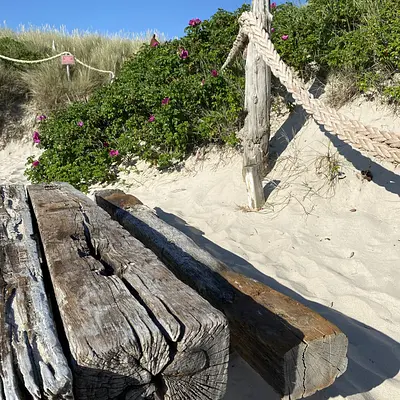 Sommer Akademie am Meer: Work-Life-Design auf Sylt