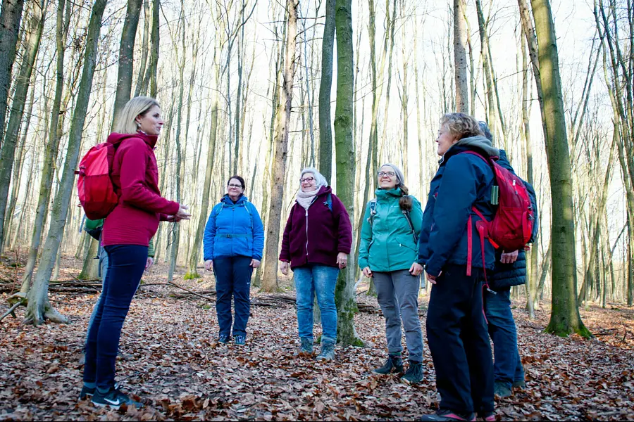 Kursleiter*in für Waldbaden - Achtsamkeit in der Natur