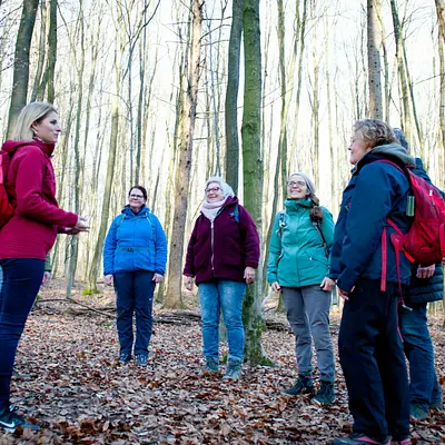 Kursleiter*in für Waldbaden - Achtsamkeit in der Natur