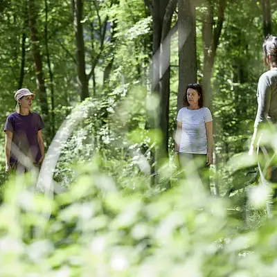 Kursleiter*in für Waldbaden - Kleingruppe Klassik (inkl. Unterkunft & Verpflegung) Kursleiter*in für Waldbaden - Kleingruppe Klassik (inkl. Unterkunft & Verpflegung)