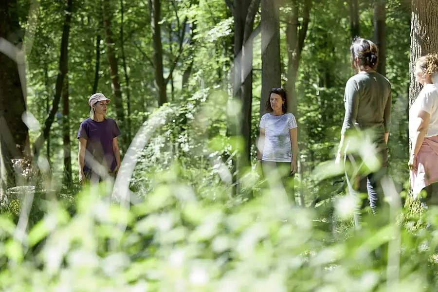 Kursleiter*in für Waldbaden - Kleingruppe Klassik (inkl. Unterkunft & Verpflegung)