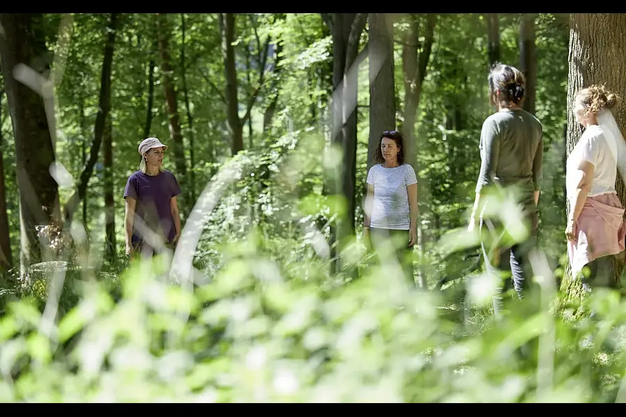 Kursleiter*in für Waldbaden - Kleingruppe Klassik (inkl. Unterkunft & Verpflegung)