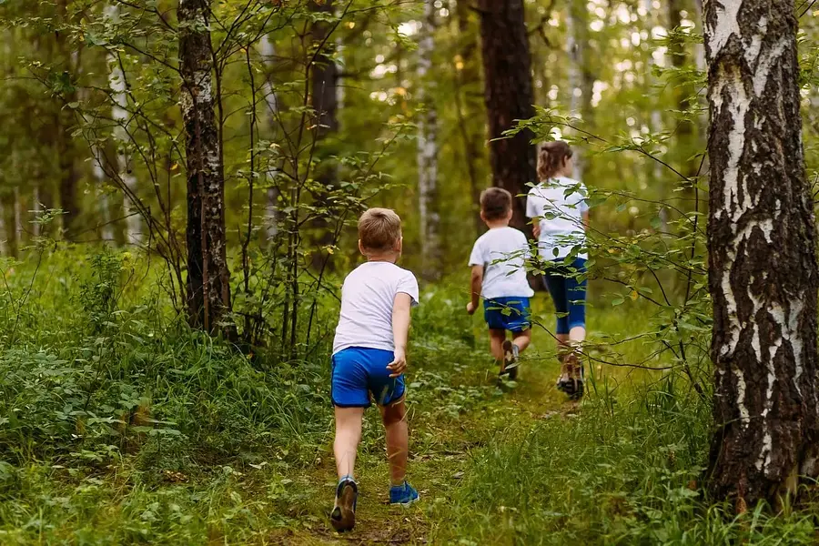 Kursleiter*in für Waldbaden mit Kindern & Jugendlichen