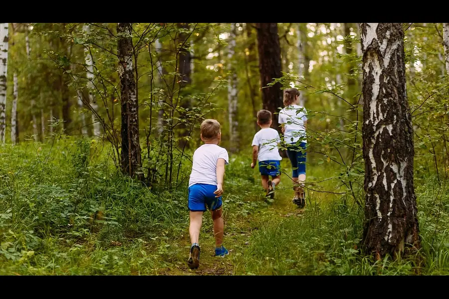 Kursleiter*in für Waldbaden mit Kindern & Jugendlichen